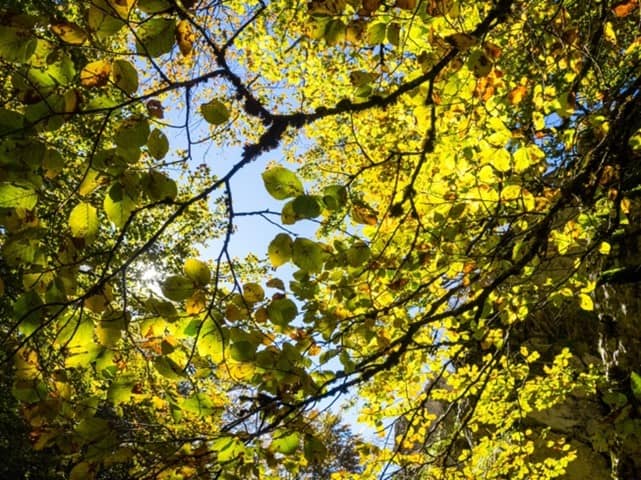 Interventi riduzione dell'impatto ambientale