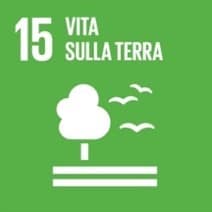 Opere di mitigazione ambientale e forestazione 4 Vita sulla Terra