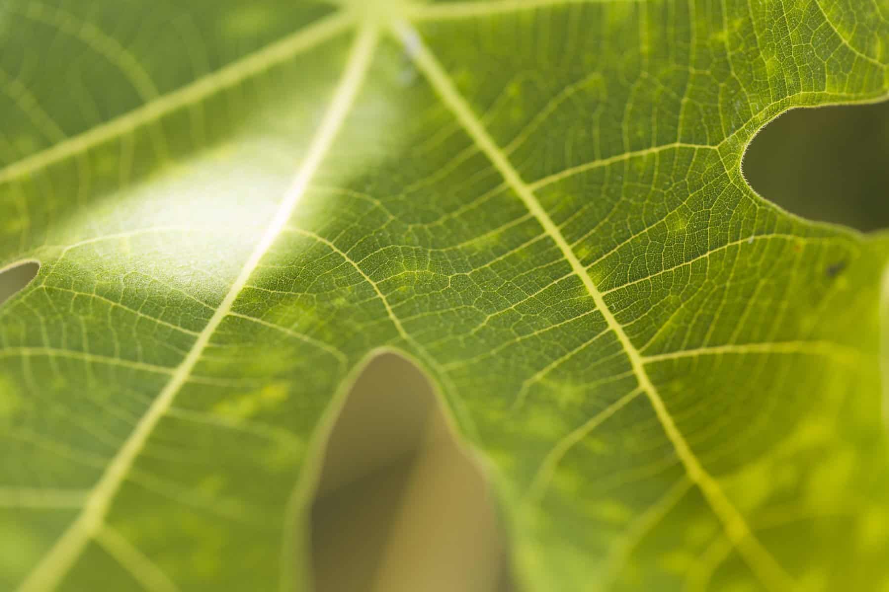 Report di sostenibilita 1 scaled