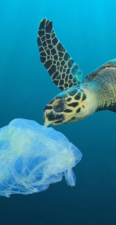 Eco + Eco Srl 6 Tracciabilita plastica