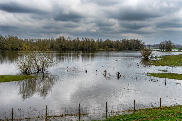 A flooded field with partially submerged fences and trees surrounded by water. Overcast skies with gray clouds loom overhead, reflecting the somber atmosphere of the scene