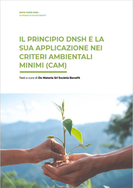 WP DNSH CAM